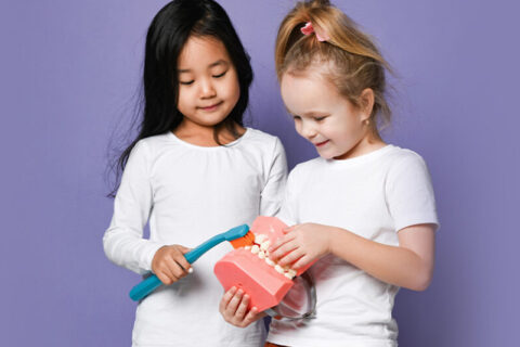 little girls playing with toy teeth and brush