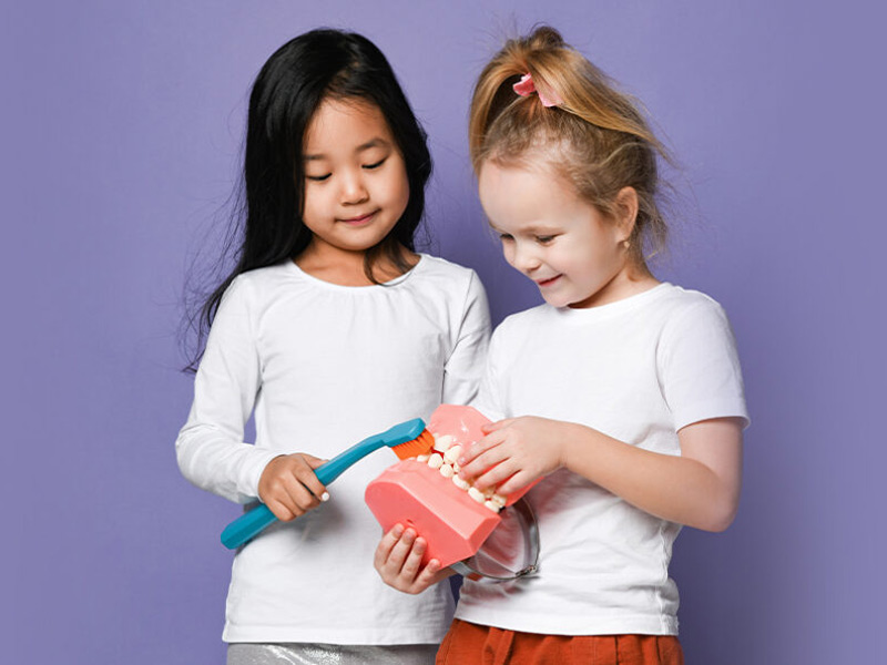 little girls playing with toy teeth and brush